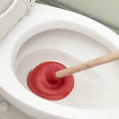 Cara Mengatasi Toilet Mampet
