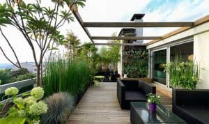desain roof garden