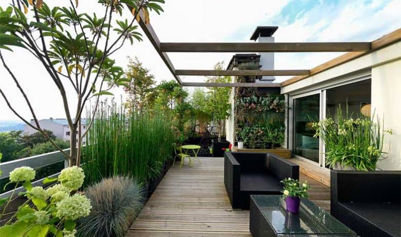 Mengenal 10 Jenis Tanaman untuk Roof Garden - RumahLia.com