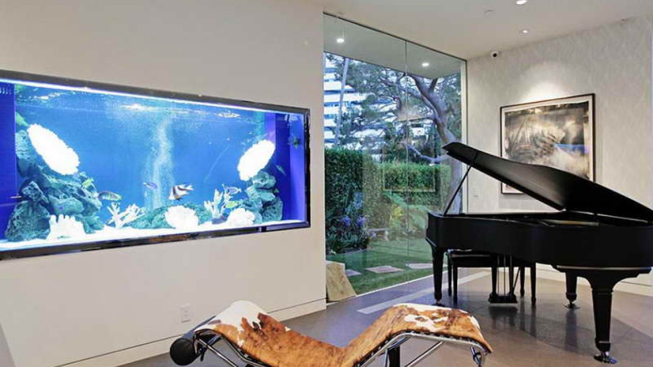 9 Cara Membuat Aquarium Sederhana Di Rumah Rumahlia Com