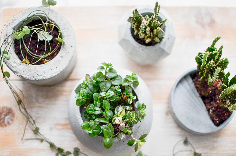 Mengintip 7 Cara Membuat  Pot  Bunga  Beton  RumahLia com