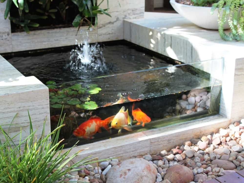 Kolam-Ikan-Mini-Dinding-Transparan - RumahLia.com