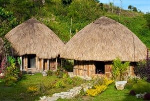 9 Keunikan  Rumah  Adat Honai  Khas Papua RumahLia com