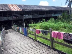 9 Keunikan Rumah  Betang  Uluk  Palin  Kalimantan Barat 