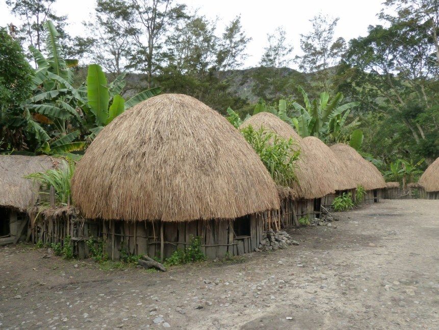  Rumah  Honai  RumahLia com